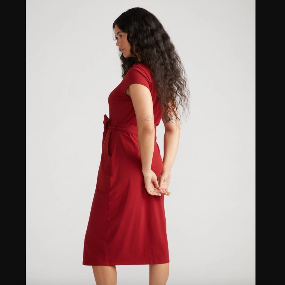 NWT Universal Standard Band Collar Jersey Tie Travel Dress in Rich Soil -22/24 - Picture 3 of 7